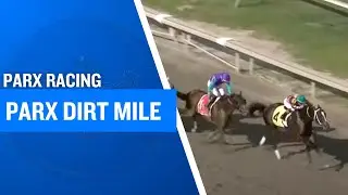 2025 $300,000 Parx Dirt Mile Stakes at Parx Racing
