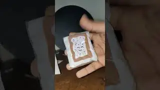 Poptart #blindbag #unboxing #squishy #satisfying #homemade