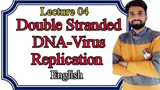 Lecture 04: Double Stranded DNA virus Replication in Host cell. ENGLISH.
