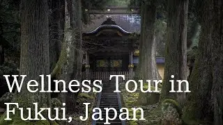 Journey to Physical and Mental Well-being: Wellness Tour in Fukui