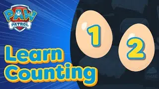 Learn How To Count with  PAW Patrol | Learning Videos for Toddlers!