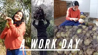 A Work Day | Vlog | Himachal Pradesh | Bhavna Pathania