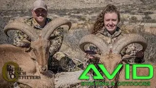 2019 BARBARY SHEEP Hunt New Mexico Aoudad