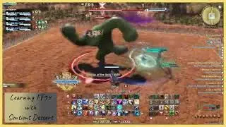 Final Fantasy XIV - Tender Valley - Full Run - Teaching and Learning