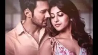 2016 Bollywood Movie Saansein: The Last Breath (Romantic/Horror)