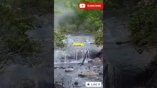The Boiling River: Amazon's Scalding Mystery! #ytshorts #shorts #facts #viralvideo #trending