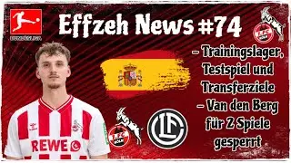 1. FC K&ouml;ln Trainingslager, Testspielgegner & Transferpl&auml;ne! + Van den Berg Sperre! Effzeh News #74