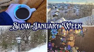 ✨ Cosy Winter Reading Vlog | Snowy Slow Days, Nature Writing & Healing ✨ [CC]