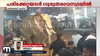 പുതിയങ്ങാടി നേർച്ചക്കിടെ ആന ഇടഞ്ഞു; യുവാവിനെ തൂക്കിയെറിഞ്ഞു, പരിക്കേറ്റയാൾ ​ഗുരുതരാവസ്ഥയിൽ