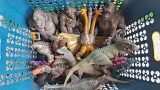 Hunting found,Godzilla,Jurassic world Dominion,mosasaurus, megalodon,kingkong,T-rex, vs Godzilla,