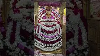 #BhaktiVideo #DevotionalReels #ShyamBabaKeBhakt  #ShyamSarkar #ShyamBabaDarshan #RajasthanDevotion