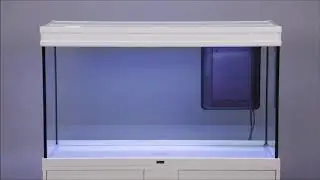 Aquarium &Eacute;l&eacute;gance Expert AQUATLANTIS