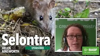 An introduction to Selontra  | BPCA Digital Forum (Jan 2021)