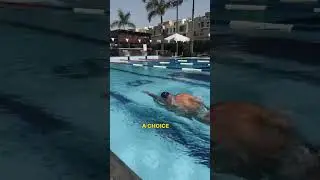 The Best Mindset for Swimming 🔥