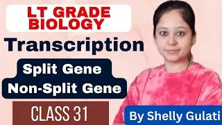 Transcription || Spilt Gene || Non-Split Gene || LT GRADE Biology By Shelly Gulati @GradeDoor