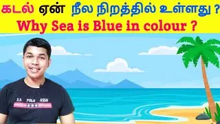 கடல் ஏன் நீல நிறமாக உள்ளது ?Why sea appears Blue ? TAMIL SOLVER