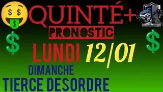 PRONOSTIC PMU QUINTE DU JOUR LUNDI 12 JANVIER 2026 