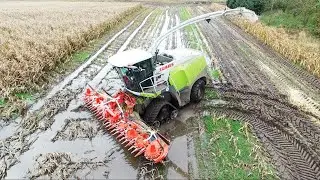 Muddy Corn Chopping - Fields Filled with water | Mais Häckseln Extreme Condition | DK Agriculture