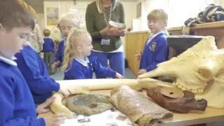 Learn at Chester Zoo - Education Workshops 2017