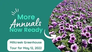 Millcreek Gardens Greenhouse Tour May 12, 2022