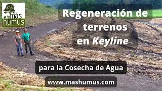 Regeneración de terrenos con Keyline o Linea Clave con Máshumus. info@mashumus.com