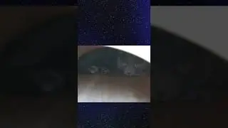 잠수 탄 냥이 찾기