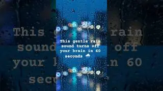 The cure for overthinking at night. 🌧️ Gentle Rain on Window #insomnia #sleep #gentlerain