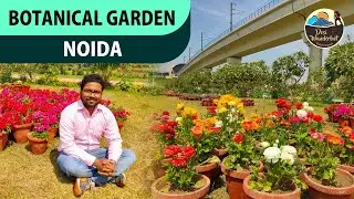 Botanical garden, Noida, Uttar Pradesh | Best Park of Noida
