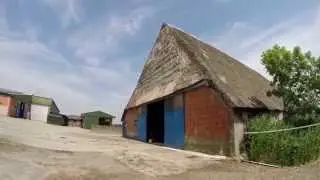 Pferdehof Auh&ouml;rn - Sommerland