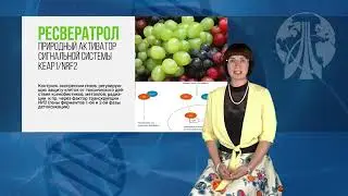 КАК ВЫВЕСТИ ТОКСИНЫ ИЗ ОРГАНИЗМА?  ЛИКАМ -  противотоксикологический препарат.