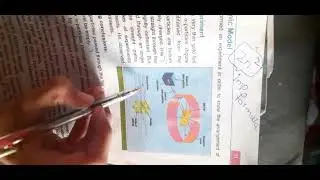 Rutherford Atomic Theory