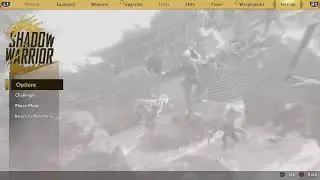 Shadow warrior 2 waves