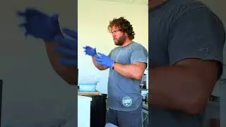 The Art of the Sandwich
