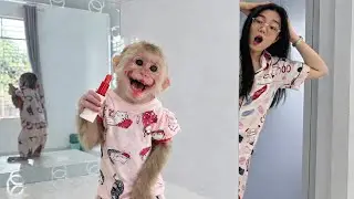 Funny Moment! Monkey Kyo Playfully Uses Ngan&rsquo;s Lipstick for Makeup 💄😂