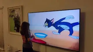 Tom and Jerry invisible mouse.