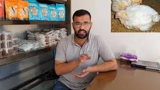 Aspergillosis الاصابة بفطر الاسبرجلس