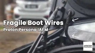 Fragile Boot Wires - Proton Persona IAFM