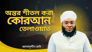 অন্তর শীতল করা কোরআন তেলাওয়াত ahp tv #habibtravels