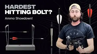 Hardest Hitting Bolt? Ballista BAT Reverse Ammo Showdown!