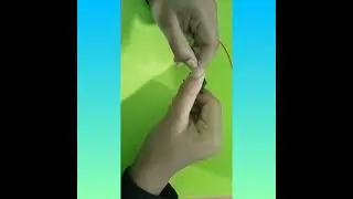 Working model of simple electric circuit / Minnoli Padhiary's art and Craft Gallery