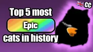 Top 5 most EPIC cats in history