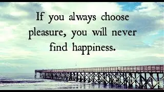 Happiness vs pleasure