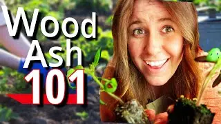 How To Use Wood Ash With Your Plants! Be Careful!
