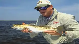 Steinhatchee Speckled Seatrout Fishing the Big Bend Area