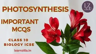 IMPORTANT BIOLOGY QUESTIONS | MCQs | Photosynthesis | Class 10 ICSE