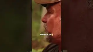 Когда позволяешь солнечному свету проникать на лесную почву, происходят прекрасные вещи! #TSI #ме...