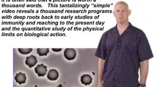 Rob Phillips (Cal Tech): A Vision for Quantitative Biology
