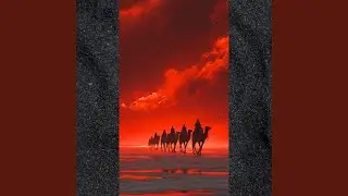 Camel Train
