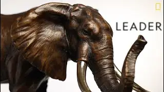 National Geographic | Caswell Sculpture: African Elephant Sculpture
