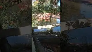 Beautiful Nature Espa&ntilde;a #travel #zoo #Барселона  #animals